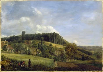 Clairière forestière près d
